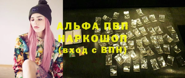 гашик Алзамай