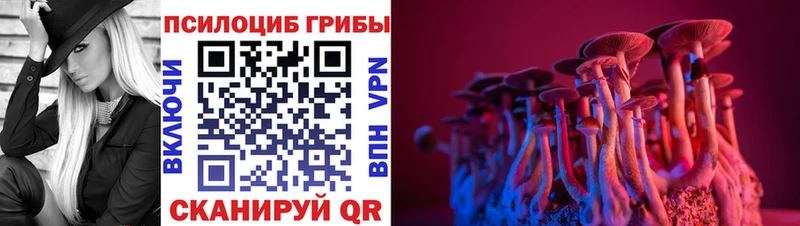 Галлюциногенные грибы GOLDEN TEACHER  хочу   Верхоянск 